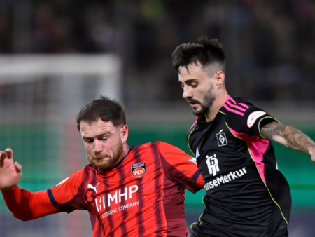 HSV Polzins PersonalPuzzle QuotenTicker