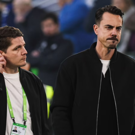 Nicht nur Hecking ist neu: Das verändert sich in Wolfsburg für Schwegler und Benaglio