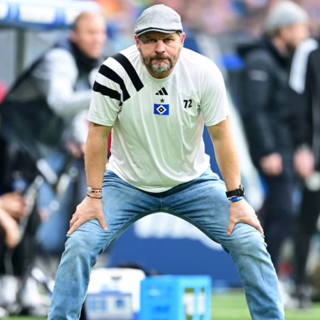 Baumgarts angeschlagener HSV empfängt Schalke 