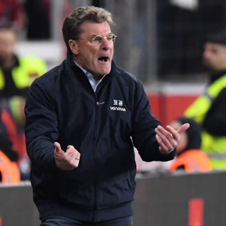 Hecking zwischen „wahnsinnig viel Mut“ und Schiri-Frust