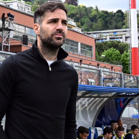 Bayer-Kandidat Fabregas zu seiner Zukunft: „Es ist noch nichts entschieden“