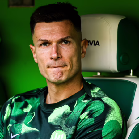 Pervans Alphatier-Ansage: Hat Wolfsburg ein Führungsproblem?