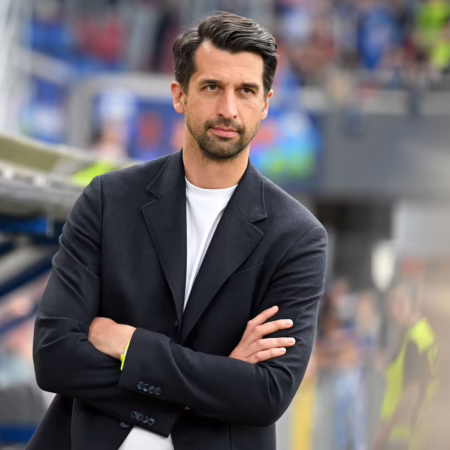 Hoffenheim hat Ex-Hamburger Boldt im Visier